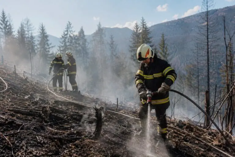Zigarette löste Waldbrand im Lesachtal aus