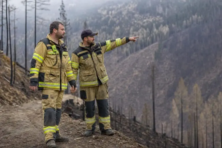 Zwei Feuerwehrleute in Schutzkleidung stehen auf einem Weg und blicken auf ein abgebranntes Waldgebiet.
