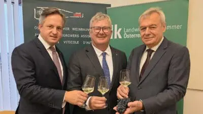 Weinlese im Seewinkel geht bereits zu Ende