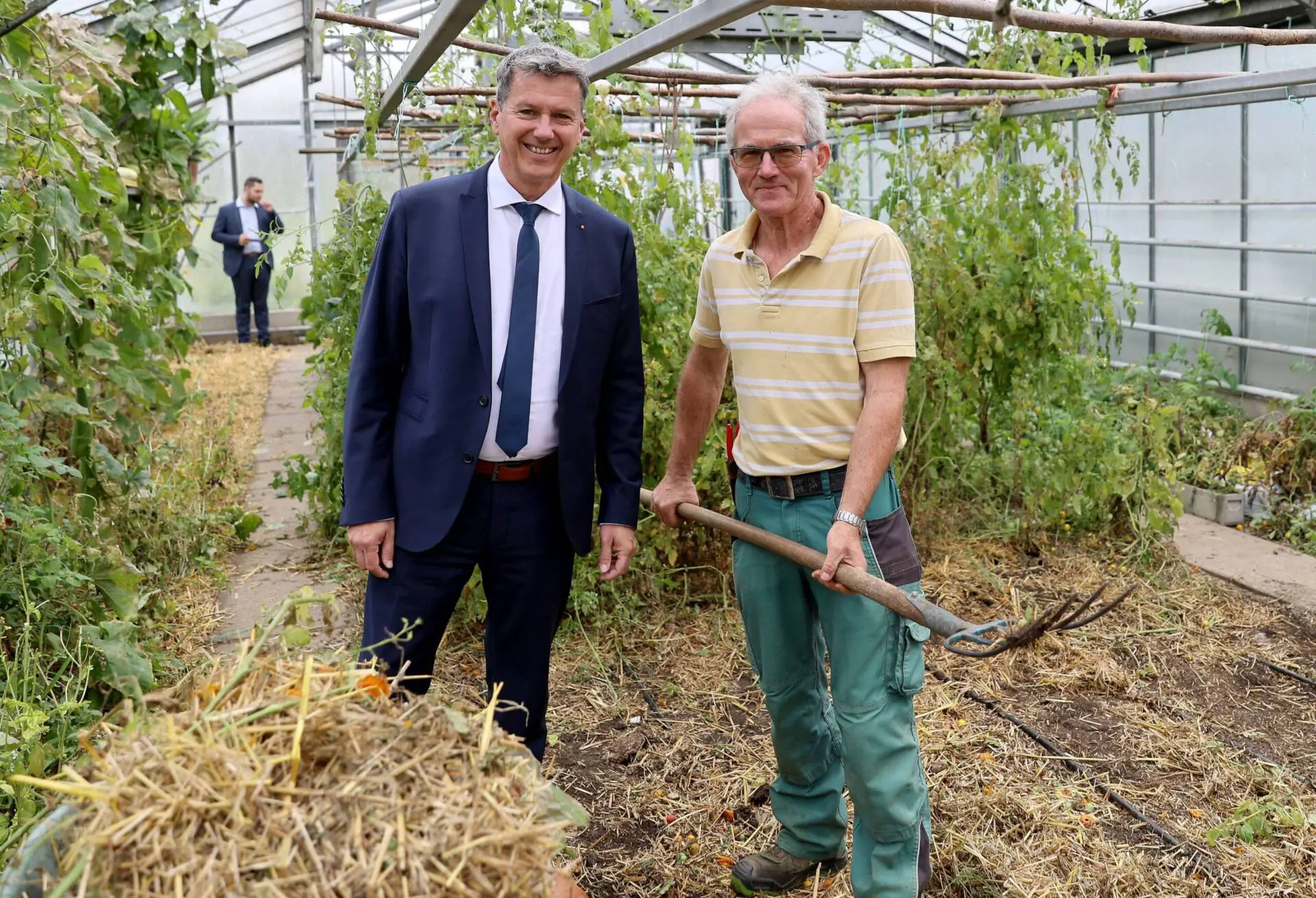 Landeshauptmann Daniel Fellner steht mit einem Mann zwischen Pflanzen in einem Gewächshaus.