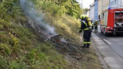 Feuerwehr Laab löscht Kleinbrand an einer Böschung im Bezirk Mödling