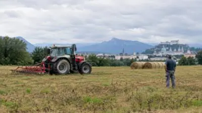 Flachgau: Dürre zwingt Bauern zum Futterzukauf