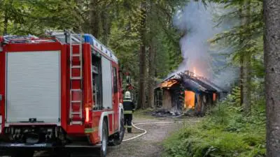 Hüttenbrand im Wald: Feuerwehr verhindert Ausbreitung der Flammen