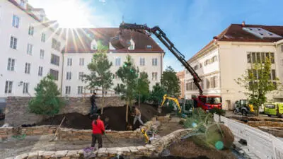 Bäume werden zwischen historischen Gebäuden in einem Innenhof gepflanzt.