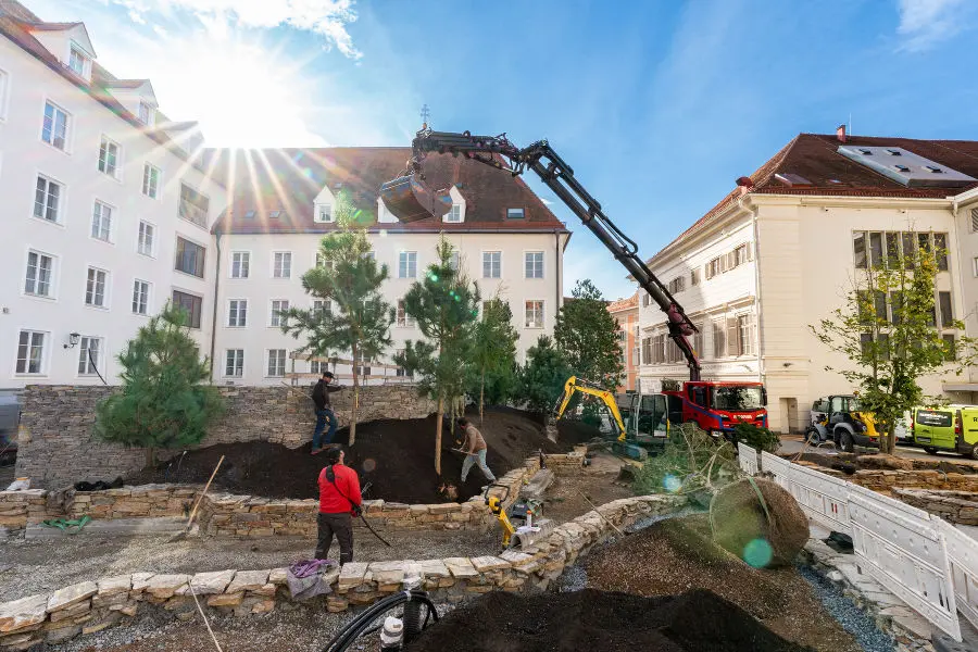 Bäume werden zwischen historischen Gebäuden in einem Innenhof gepflanzt.