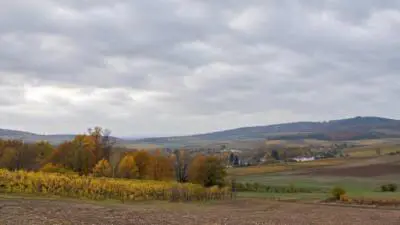 KI-generiertes Bild: Bewölkter Himmel über herbstlichen Weinbergen und einer Hügellandschaft.