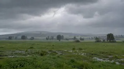 KI-Symbolbild: Regen fällt auf eine grüne Wiese unter dunklen Wolken.