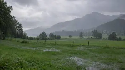 KI-Symbolbild: Regen auf einer grünen Wiese vor bewaldeten Bergen.