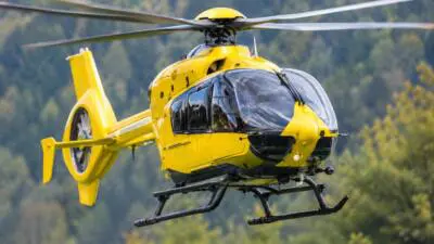 Asttreffer verletzt Forstarbeiter in Rohrbach an der Lafnitz schwer