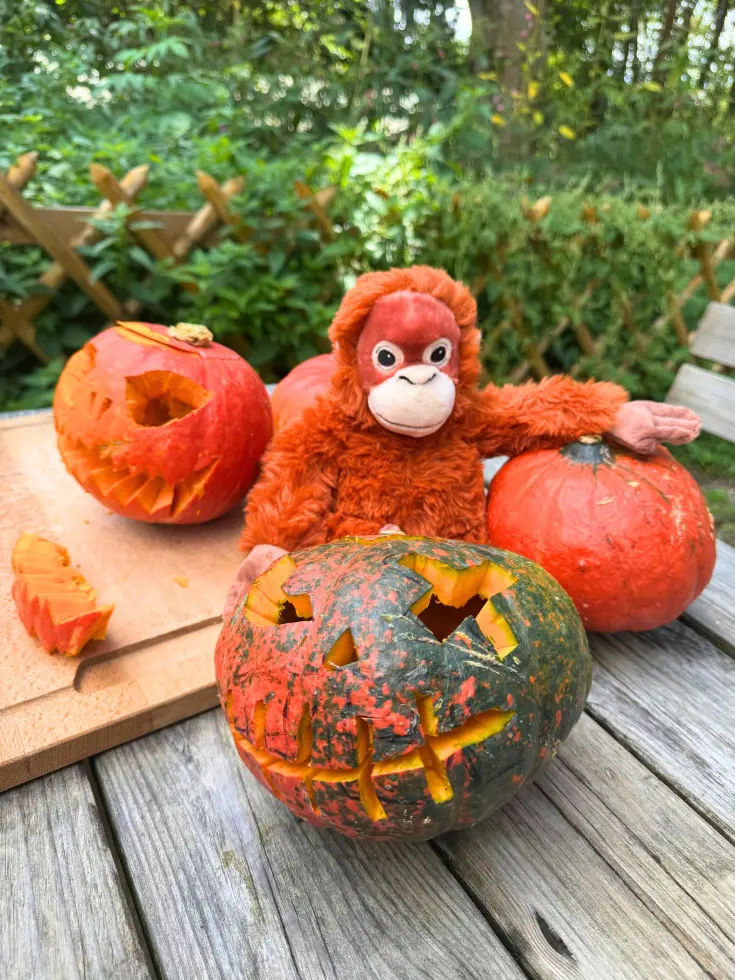 Ein orangefarbenes Plüschäffchen sitzt zwischen geschnitzten Halloweenkürbissen auf einem Holztisch.