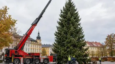 KI-Symbolbild: Eine hohe Tanne steht neben einem roten Kranfahrzeug auf einem Platz.