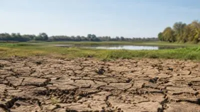 KI-Symbolbild: Aufgerissener, trockener Boden vor einer flachen Wasserfläche und grüner Landschaft.