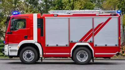 Feuerwehr Deutschfeistritz findet Kalb auf der Straße
