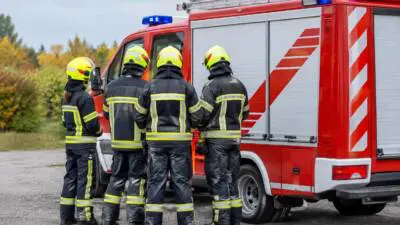 Feuerwehr hilft Pferd mit Hebegeschirr wieder auf die Beine
