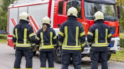 Feuerwehr Lasberg bringt entlaufenes Kalb in Paben zurück