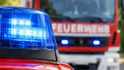 Feuerwehr Lohnsburg räumt umgefallene Esche im Totenholz