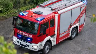 Feuerwehr setzt gerettete Natter im Wald aus