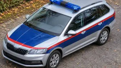 KI-generiertes Bild: Ein silberner Kombi mit Blaulichtbalken steht auf einem laubbedeckten Weg.