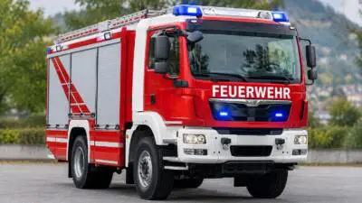 Hirschkuh verendet nach Zusammenstoß mit einem Fahrzeug