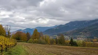 KI-generiertes Bild: Ein abgeerntetes Feld vor bewaldeten Bergen unter dicht bewölktem Himmel.