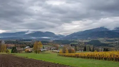 KI-generiertes Bild: Wolkenverhangene Berge über einem herbstlichen Tal mit Feldern und Weinreben