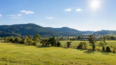 KI-Symbolbild: Sonnige Wiesenlandschaft mit bewaldeten Hügeln und blauem Himmel.