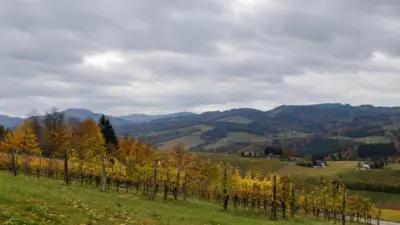 KI-generiertes Bild: Graue Wolken über herbstlichen Weinbergen und Hügeln.