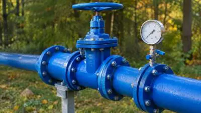 KI-generiertes Bild: Eine blaue Wasserleitung mit Absperrventil und Manometer vor einem herbstlichen Wald.