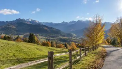KI-generiertes Bild: Sonnige Berglandschaft mit herbstlich gefärbten Bäumen und einer Straße.