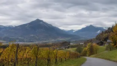 KI-generiertes Bild: Herbstliche Weinberge und eine kurvige Straße vor einem wolkenverhangenen Bergpanorama.