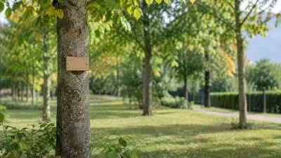 Kärntens erster städtischer Tierfriedhof öffnet in Villach