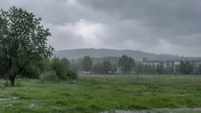 KI-Symbolbild: Regen fällt auf eine grüne Wiese mit Bäumen unter grauem Himmel.