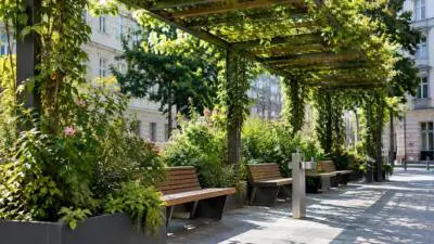 Pergola schafft Schatten vor Volksschule in Mariahilf