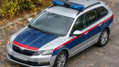 KI-Symbolbild: Ein silberner Kombi mit blau-roten Streifen und Blaulicht steht auf einem herbstlichen Weg.