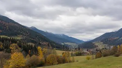 KI-generiertes Bild: Ein bewaldetes Bergtal mit herbstlich gefärbten Bäumen unter dicht bewölktem Himmel.