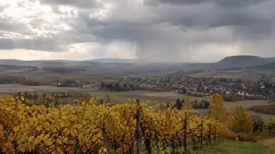 KI-generiertes Bild: Herbstliche Weinberge liegen vor einem Dorf und Hügeln unter dunklen Wolken mit Regenschauern.