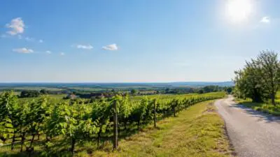 Wetter im Burgenland am Dienstag: Viel Sonne, bis 16 Grad
