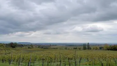 Wetter im Burgenland am Dienstag: Viele Wolken, bis 19 Grad