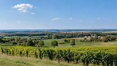 Wetter im Burgenland am Montag: Viel Sonne, bis 18 Grad