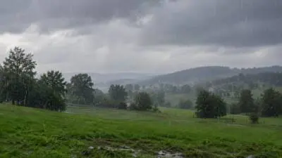 Wetter in Niederösterreich am Mittwoch: Kräftiger Regen, bis 23 Grad