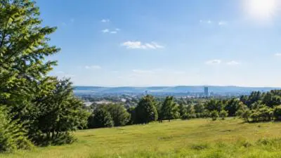 KI-Symbolbild: Sonnige Landschaft mit grüner Wiese, Bäumen und Stadtpanorama unter blauem Himmel.