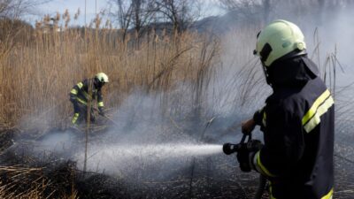 Feuerwehr löscht Schilfbrand auf 150 Quadratmetern in Götzis