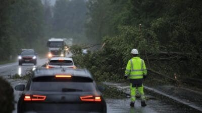 Bauarbeiter in Warnweste betrachtet umgestürzte Bäume auf regennasser Autobahn