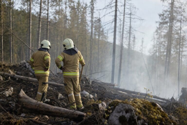 Zwei Feuerwehrleute in Schutzkleidung stehen in einem verrauchten Waldbrandgebiet mit abgestorbenen Bäumen.