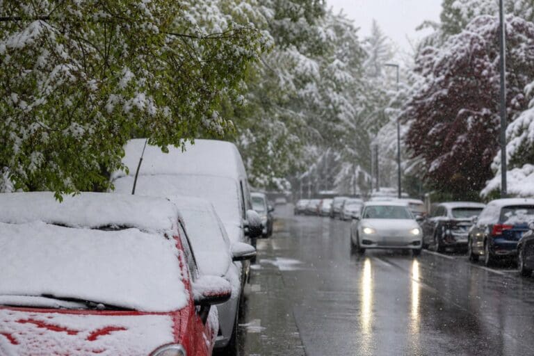 Schneebedeckte Autos und Bäume an einer nassen Straße bei fallendem Schnee