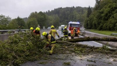 Feuerwehrleute zerschneiden mit Kettensägen einen umgestürzten Baum auf der Autobahn
