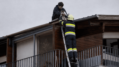 Feuerwehrmann auf Leiter übergibt gerettete Katze an Mann auf Dach eines Gebäudes