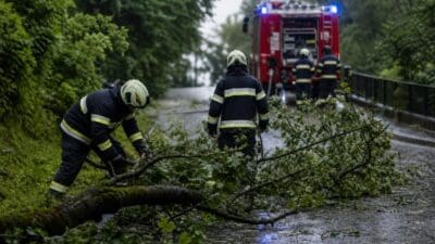 Feuerwehrleute räumen einen umgestürzten Baum von einer nassen Fahrbahn