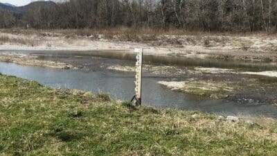Messpegel mit Skala steht im Flussbett des Feuersbergerbachs bei Globasnitz zwischen Kiesbänken und bewaldetem Ufer