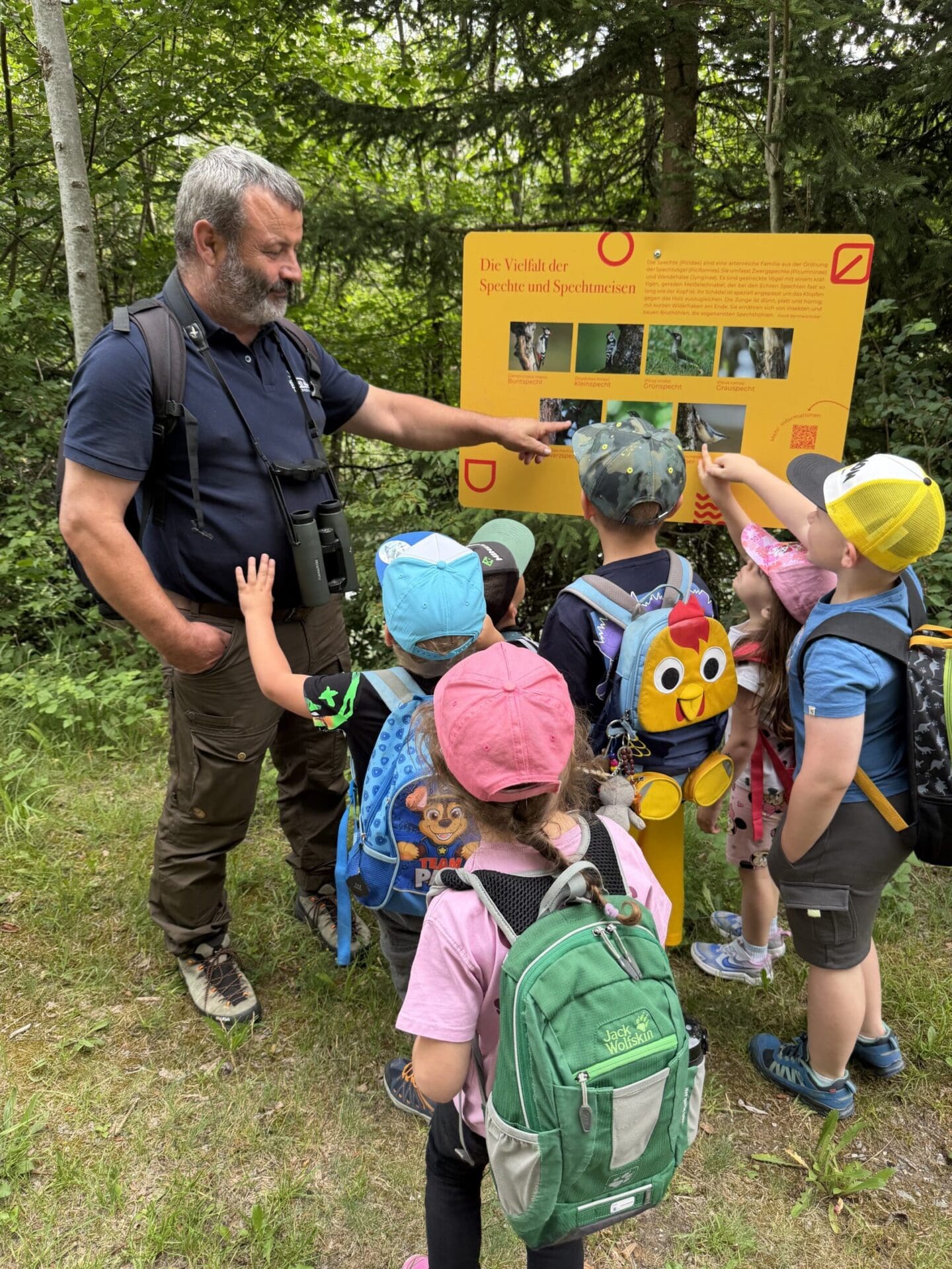 Kinder mit Rucksäcken und ein Mann betrachten eine gelbe Informationstafel über Spechte im Wald